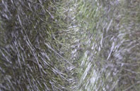 Rame fibreglass roof work